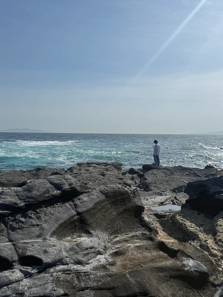 【車で行くみさき港】GWに行った三浦半島の日帰り旅が最高だったお話_4_1