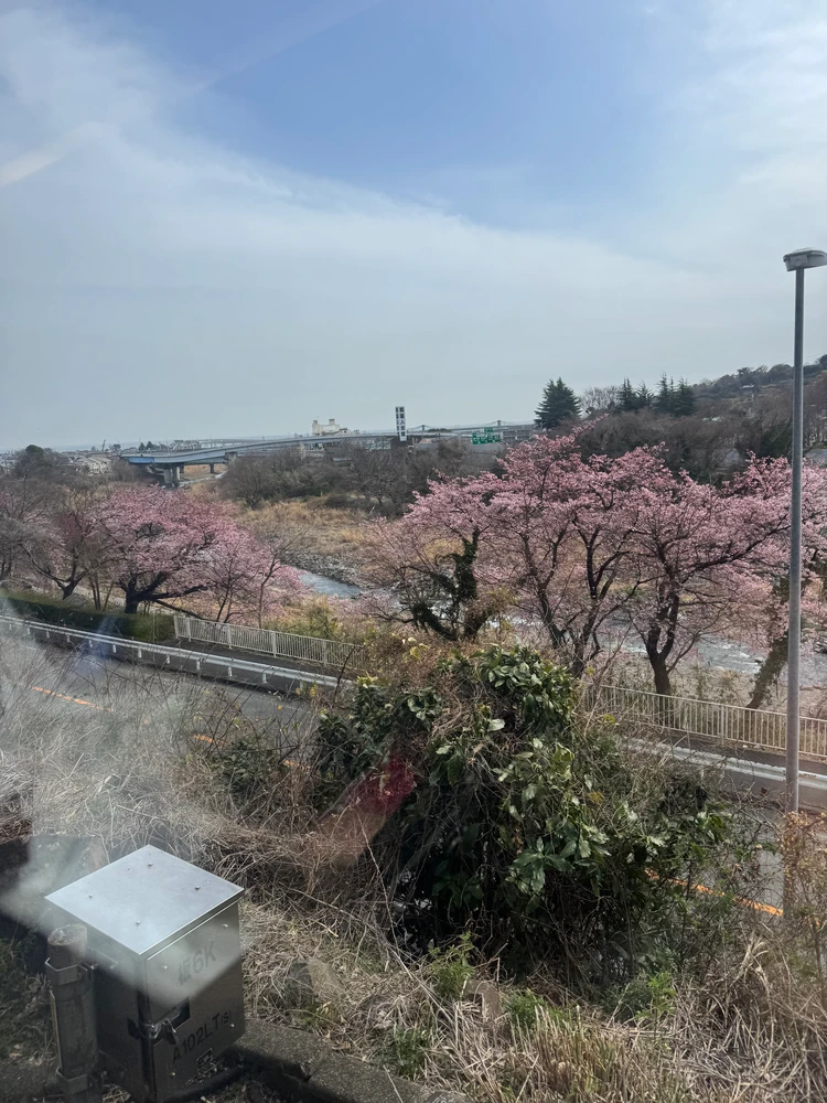 【1泊2日車なし◎】2026年上半期泊まってよかった旅宿2選_5_2