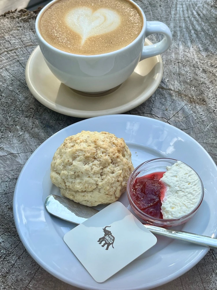 【軽井沢旅行】連休目前！愛犬と過ごせるおすすめスポットはここ🐾#旅行部_5_2