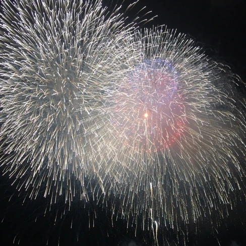 もう今年の花火は大満足です(^o^)！_1