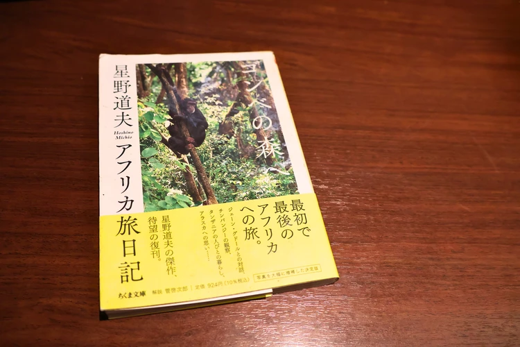 【館山】都内から２時間！ 本×カフェでゆっくり時間２選【グドール女史追悼】_8_1