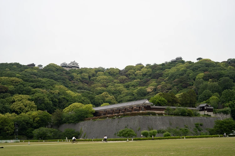 【愛媛旅行モデルコース】“愛媛のいいとこ全部入り”最高プラン（前編）_2