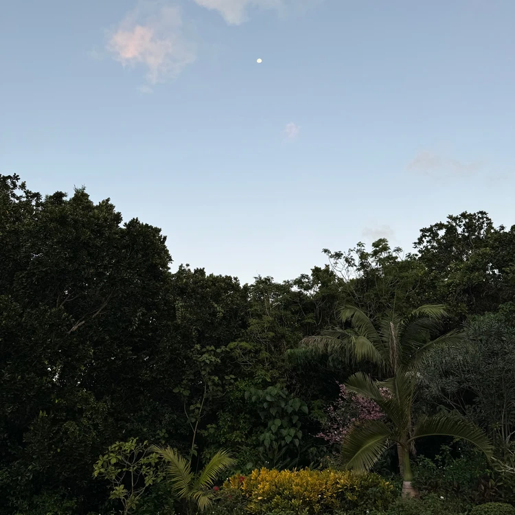 【西表島ひとり旅・ホテル編】西表島ホテル by 星野リゾートで気ままにおひとりさまステイ_19