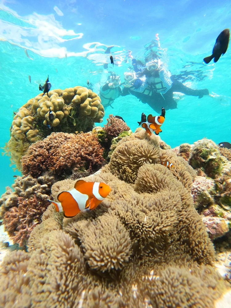 【宮古島】シュノーケル＆クリアサップ_5