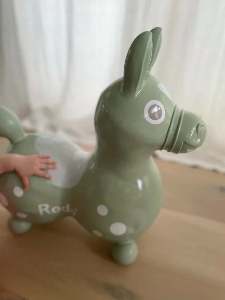 【子どもの玩具】インテリアに馴染むくすみカラーのロディ_5