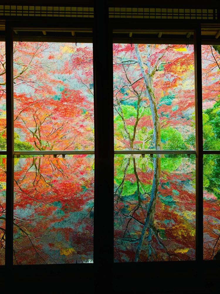 【京都嵐山】嵐山祐斎亭の紅葉・逆さもみじ