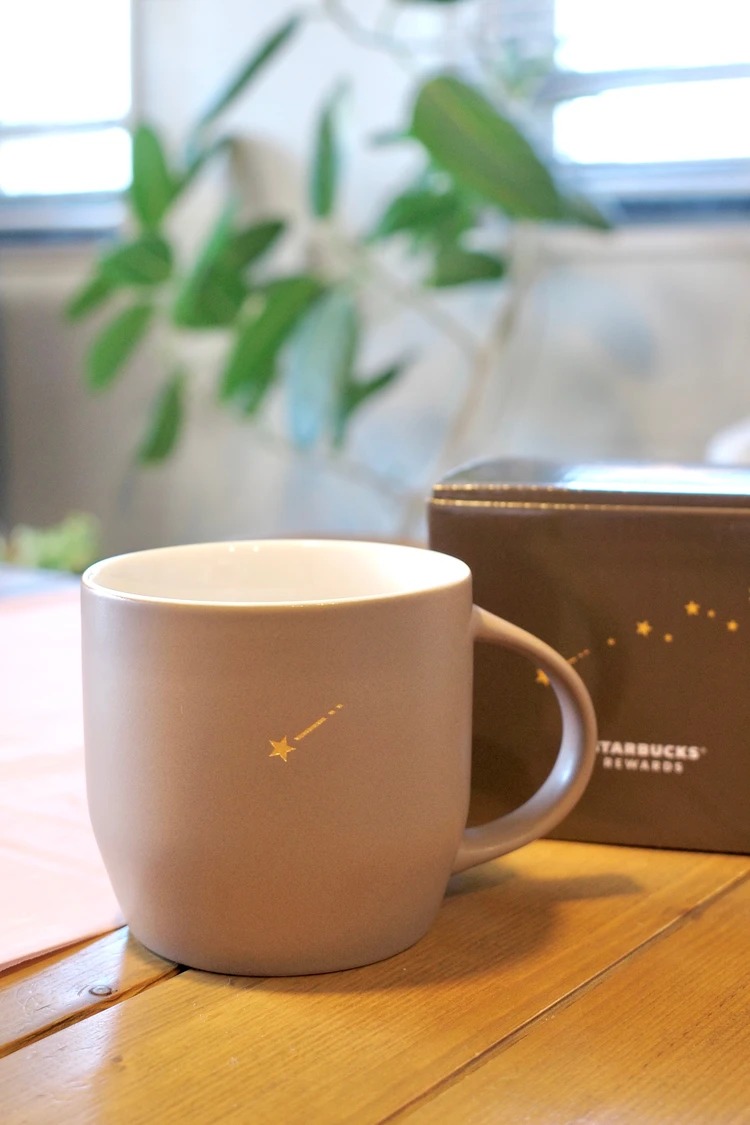 スタバ スターマグ ブラウン