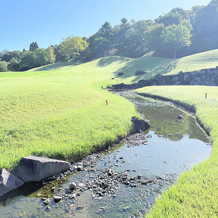 ゴルフ5カントリー オークビレッヂは“可愛い”が詰まってる_13_3
