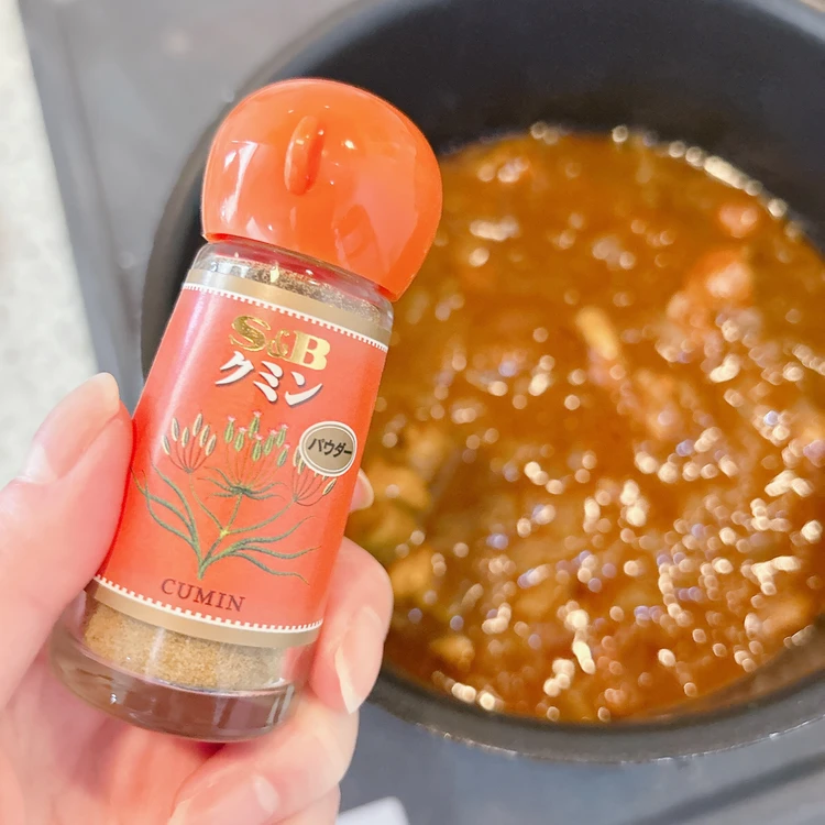 カルディ「手作りインドカレーキット」