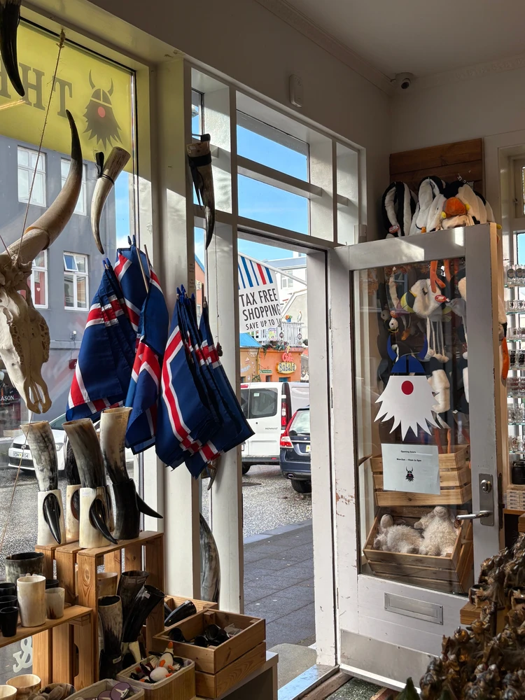 暮らすように旅する北欧・アイスランド! 大自然とカフェ巡りを4日間で堪能するモデルコース|後編_5_2