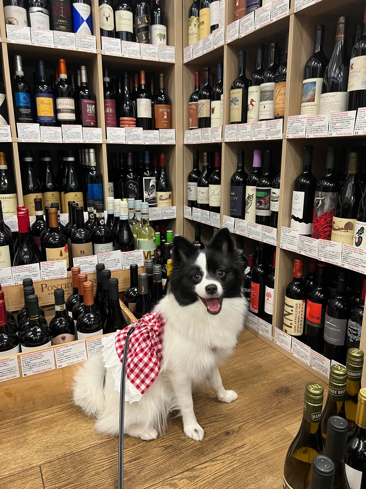 【新バイラーズ】初めまして、飯倉菜菜子です！_5