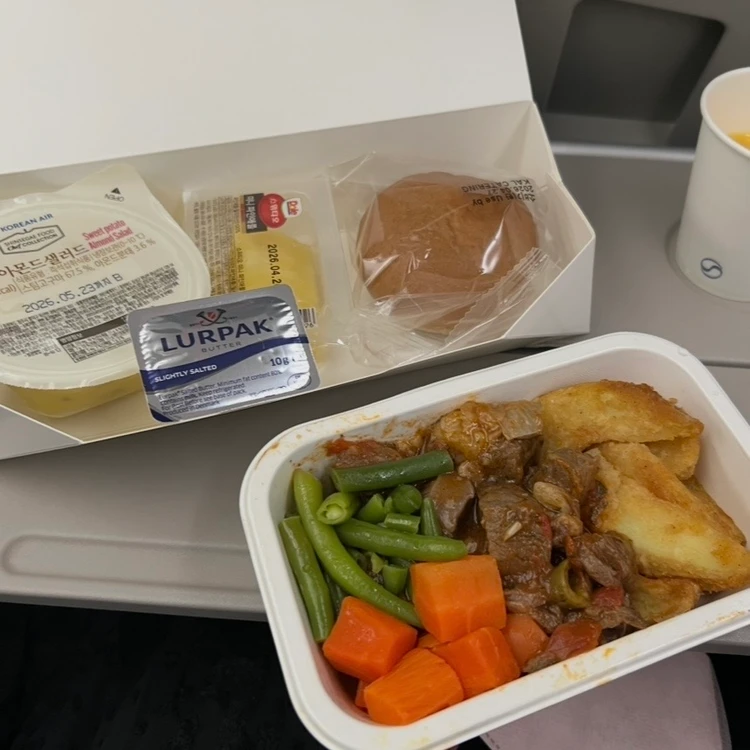 帰りの機内食の牛肉煮込み