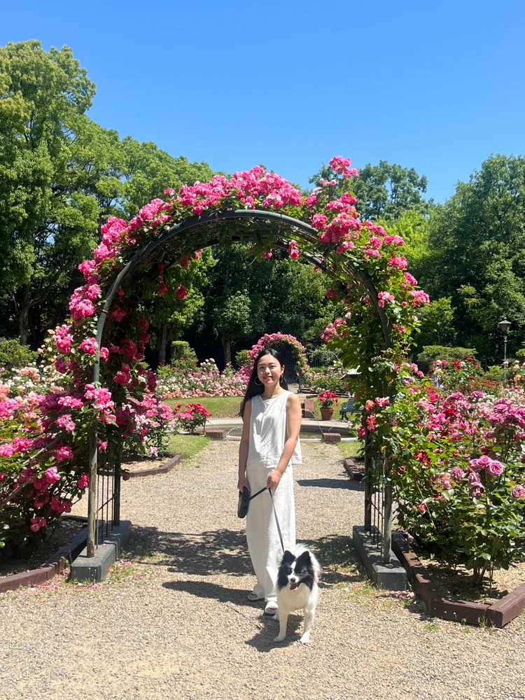 バラに包まれる初夏のハウステンボスへ♡ワイン祭りも開催中！_2_1