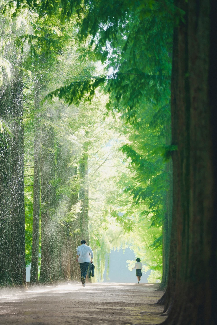 いつかの君に　天気雨の中、並木道を走るヒロインを追いかけるヒーロー