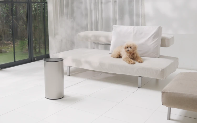 プレゼント BAILA バイラ プルガティオの加湿器「moya Craft(モヤ クラフト)」 イメージ