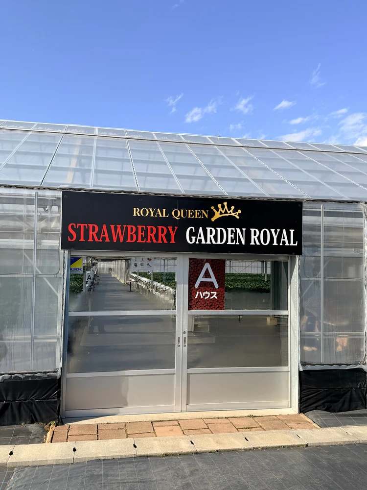いちご狩りができる栃木県のストロベリーガーデンロイヤルのテント