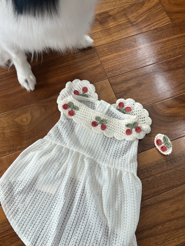 【愛犬の夏コーデ♡】注目のmonchériの涼感ウェア_5