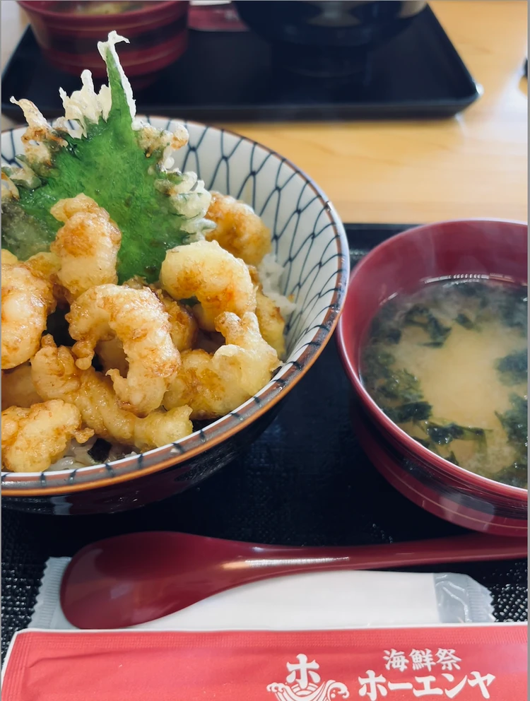 鳥取ってこんなに楽しいの〜! 観光・温泉宿・グルメ・道の駅情報🩷 都心から約2時間 _2_2