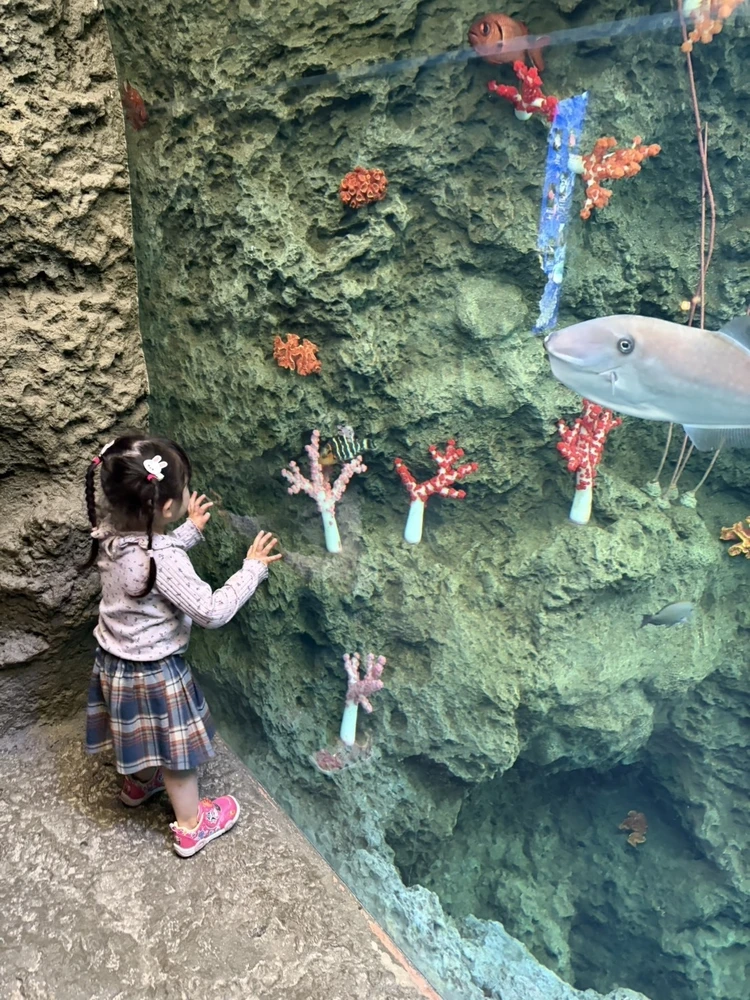 【前編】子連れで鴨川シーワールド完全ガイド｜1歳・3歳でも楽しめる？ショー攻略とリアル体験レポ_1