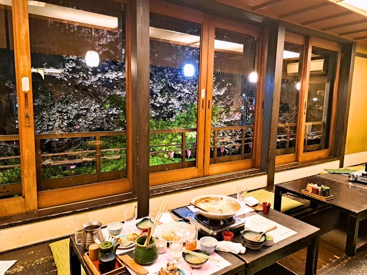 【中目黒】花見の正解はここ！古民家「はし田屋」で美肌な濃厚水炊き【予約方法も】_5