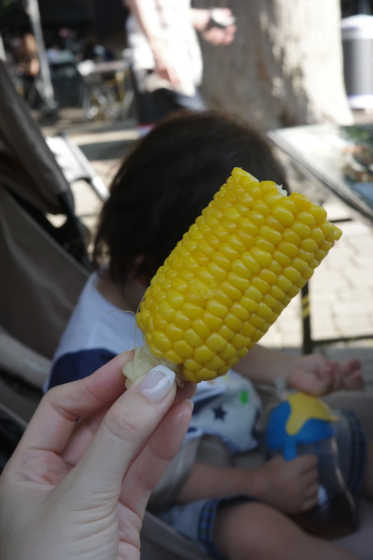 【親子3世代での北海道旅行①】真夏でも涼しい札幌観光、白い恋人パーク、チーズ専門店でのディナーなど_8_2