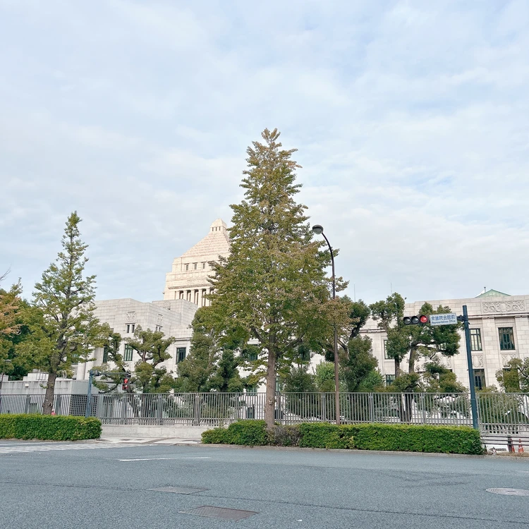 【初詣どこに行く?】一足先に、東京のパワースポット「東京大神宮」と「日枝神社」に行ってきた!_11
