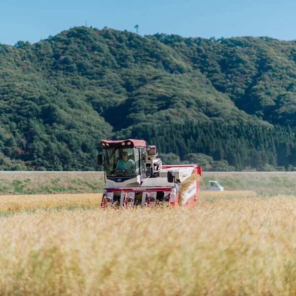 【日本橋で大人の学び体験】クラフトサケの世界|稲とアガベ_8_1