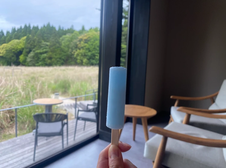 料理が感動レベル！界 霧島 桜島ビューに癒される絶景宿【鹿児島】_13_2