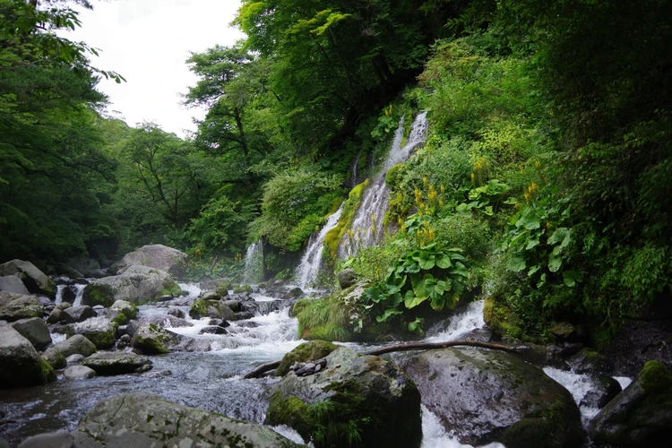 【山梨・八ヶ岳】日帰りモデルコース｜東京から2時間、清泉寮・道の駅で八ヶ岳グルメと自然を楽しむ_9_1