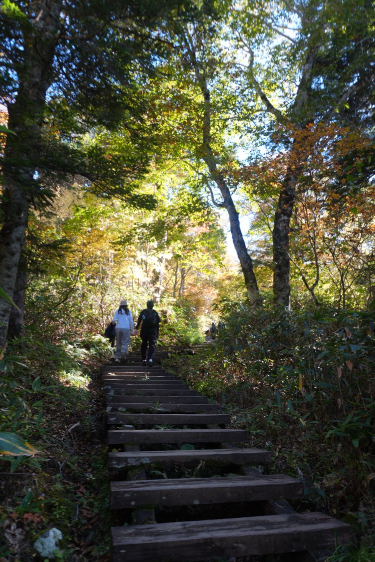 【尾瀬ハイキング】平地だけじゃなかった！初心者が紅葉シーズンに6時間歩いてみた_4_1
