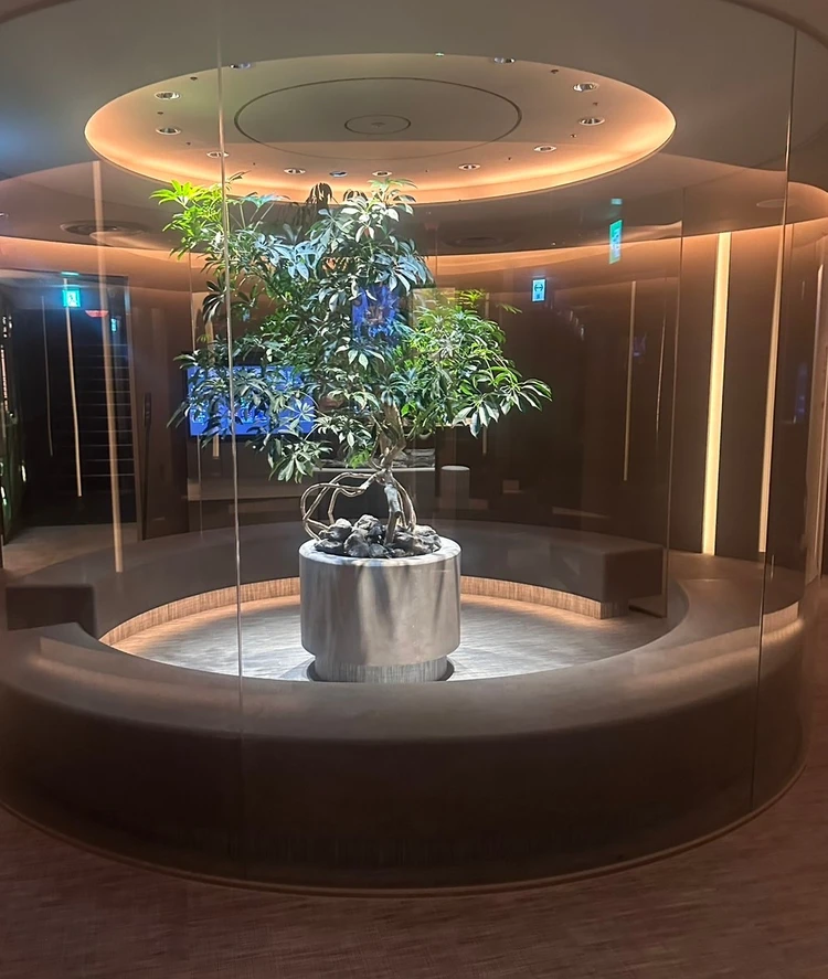 【女子会・デートにおすすめ】グランハマー O2プラージュ(新橋)完全個室おしゃれサウナ体験レポ_1