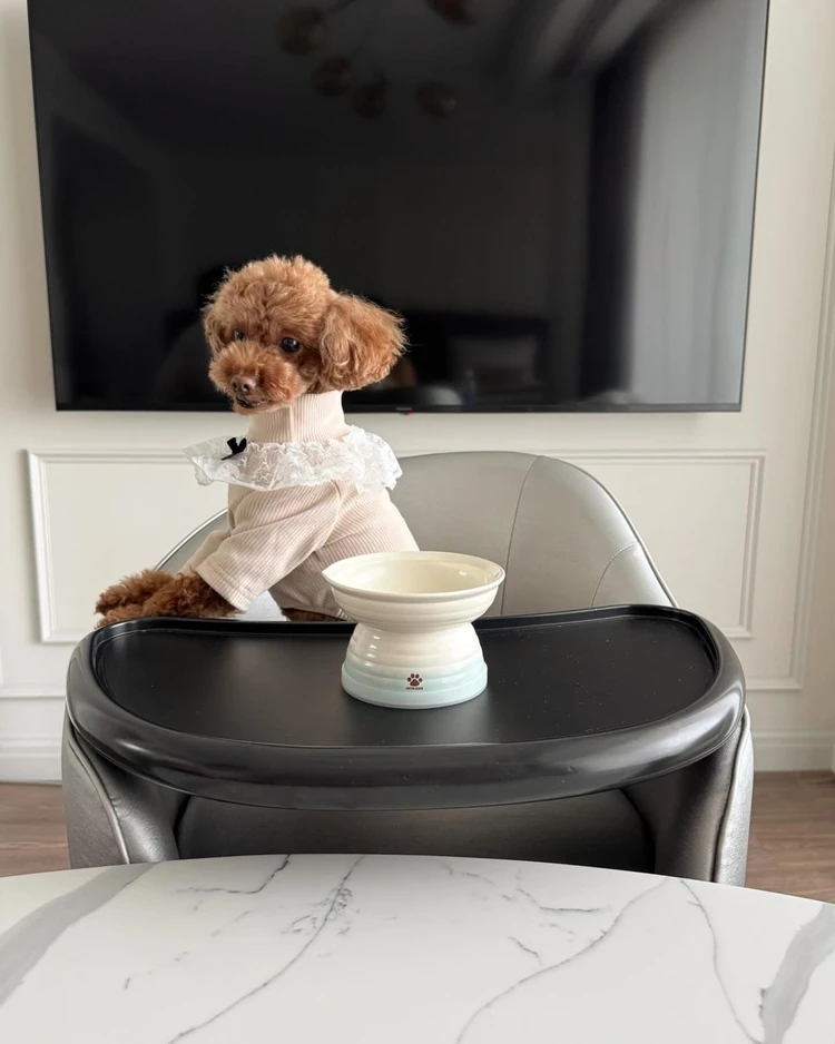 【愛犬と泊まれるお宿】宿泊レポinサンクチュアリコート琵琶湖_7