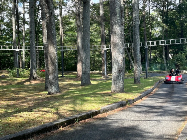 【軽井沢】自然の中で遊ぶ贅沢。軽井沢タリアセンでのんびりもアクティブにも。_9