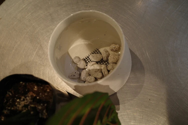 garageshibuya 鉢植え 観葉植物 砂利