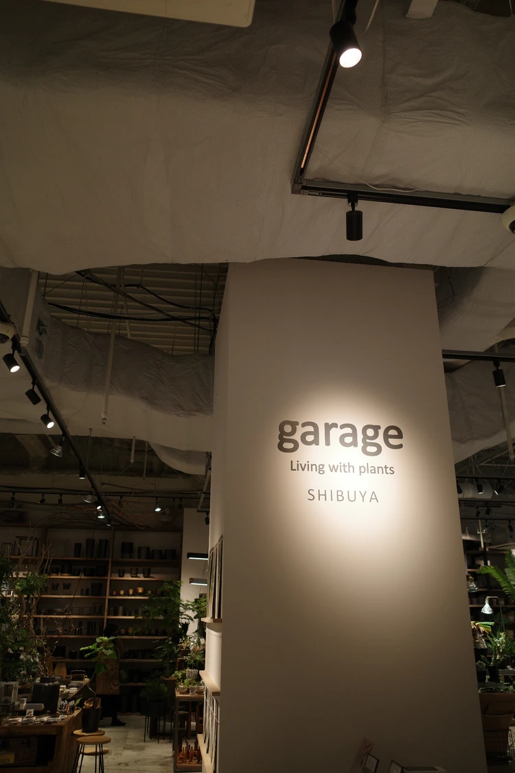 観葉植物 garageshibuya garage 渋谷