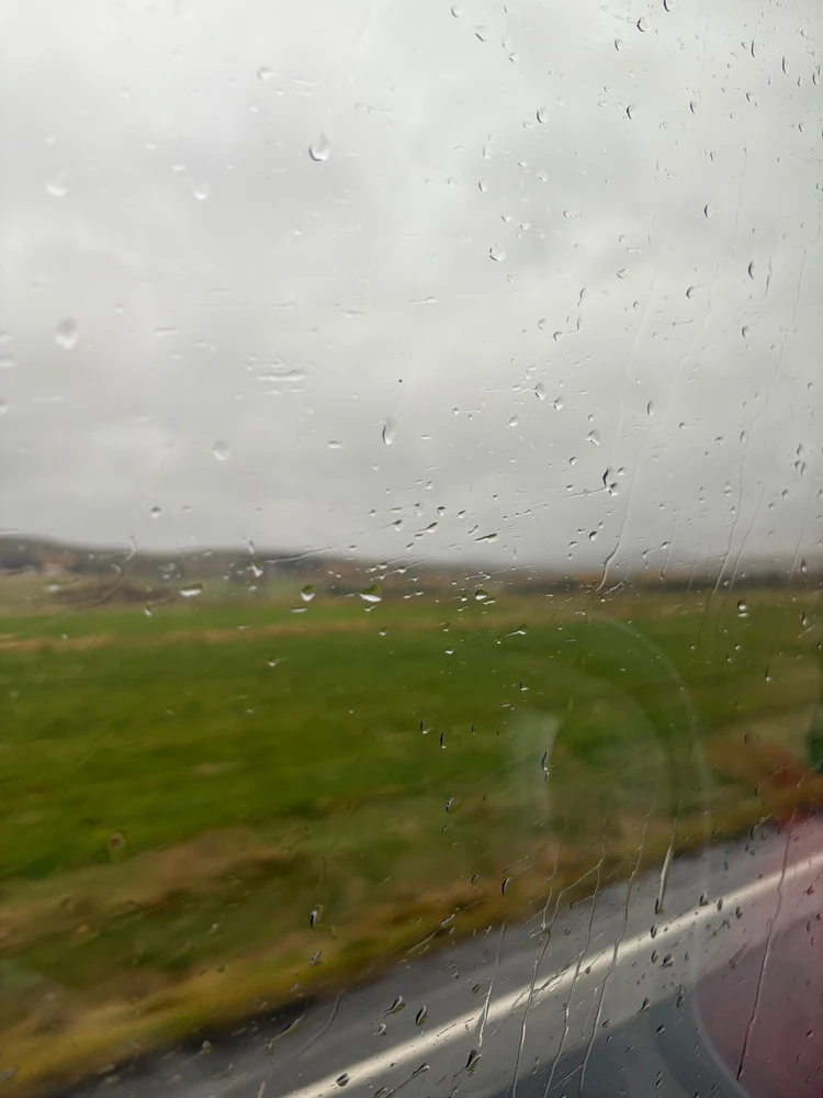 暮らすように旅する北欧・アイスランド! 大自然とカフェ巡りを4日間で堪能するモデルコース|前編_14_2