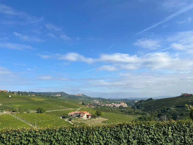 一生に一度は訪れたい。イタリアワインの贅沢旅【バローロ編】_1_1