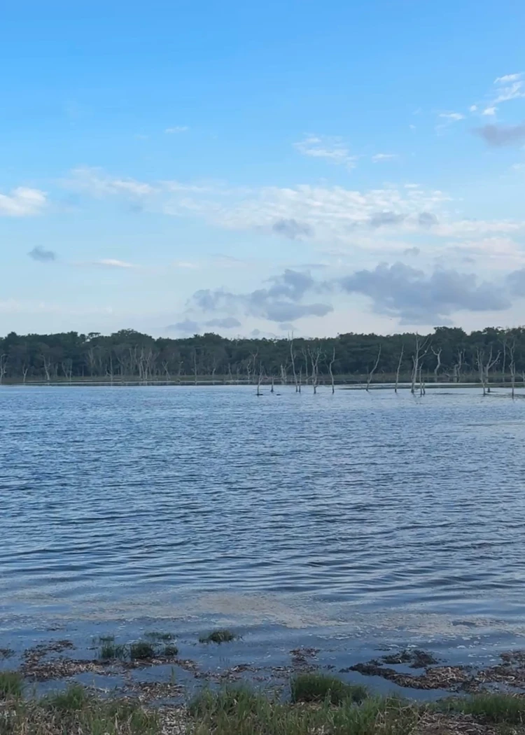 【北海道 道東エリア】網走・知床・弟子屈２泊３日絶景旅②知床半島＆野付半島編_19