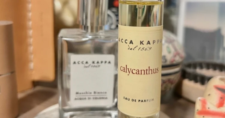 『ACCA KAPPA(アッカカッパ)』好き編集が、人気のおすすめ香水をナビ!【エディターズピック】