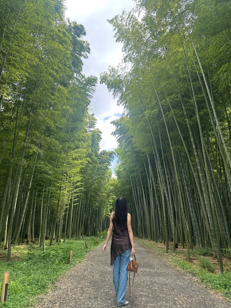 【真夏でも涼しいひんやり避暑スポットVol.2 栃木編】大谷資料館・大谷寺・若竹の杜で、神秘的な地下空間と竹林を巡る旅_13