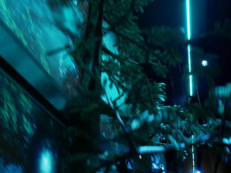 【ハリー・ポッター ショップ 原宿】体験レポ！「バタービールバー」限定メニューや店内装飾まで！_8