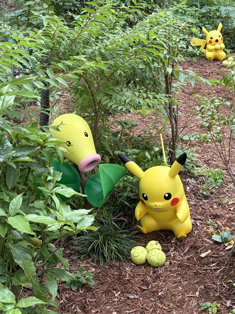 念願のPokéPark KANTO体験レポ_41