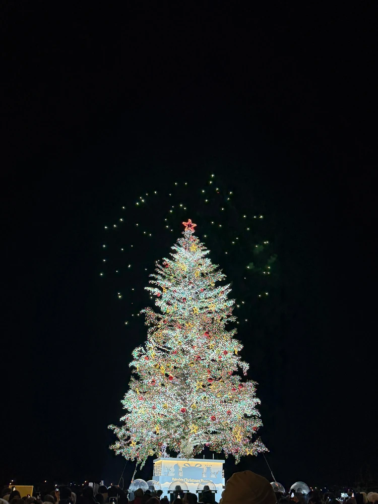函館のクリスマスが最高だった❄️ 赤レンガ倉庫のツリーと花火、冬の街歩き〜_1_2