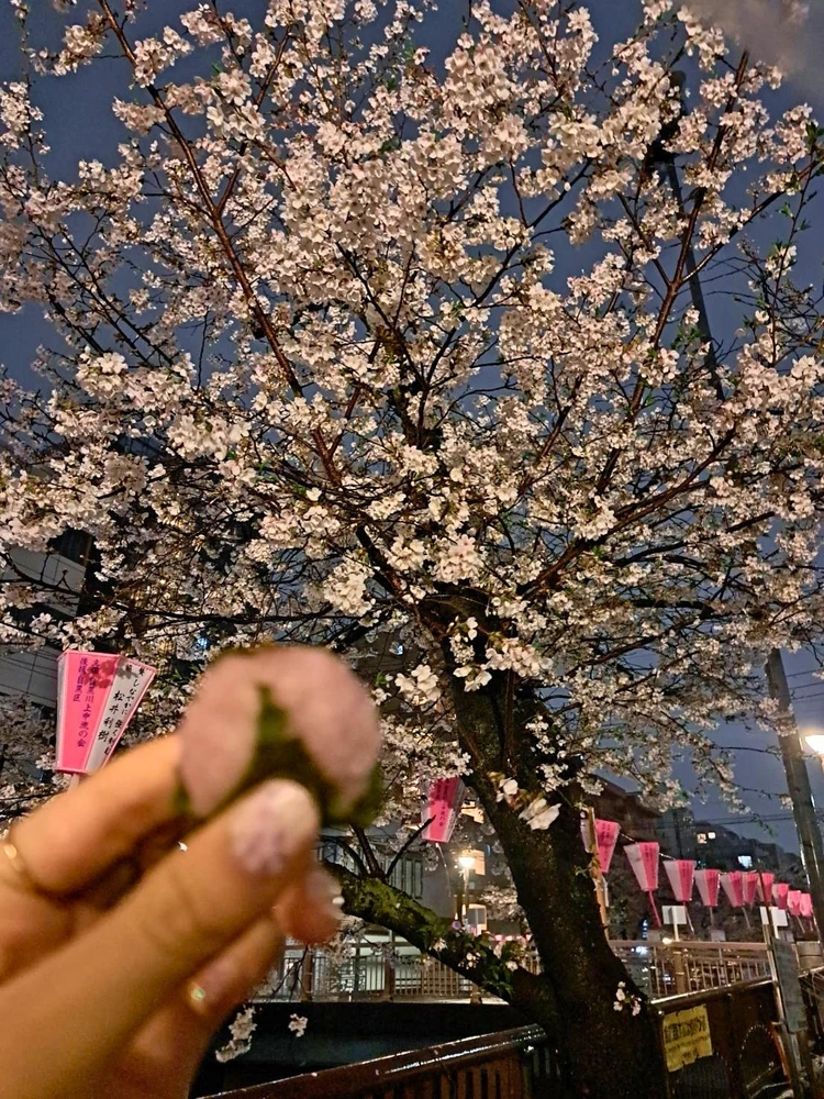 【中目黒】花見の正解はここ！古民家「はし田屋」で美肌な濃厚水炊き【予約方法も】_6