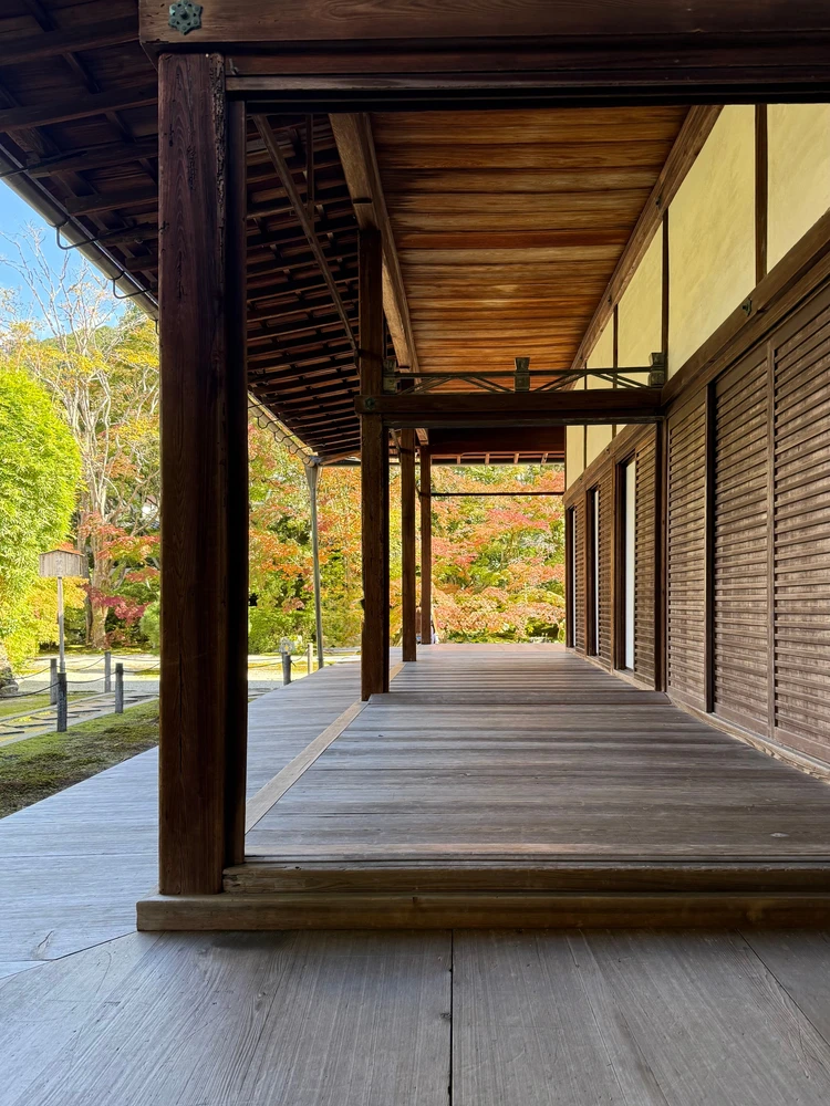 天授庵・庭園に続く通り道・紅葉フォトスポット