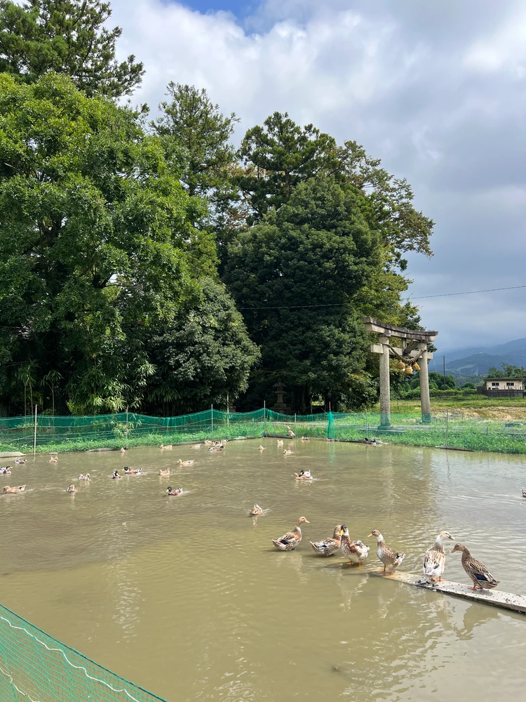 【富山旅】誕生日旅行で憧れのL’évoへ_20_1