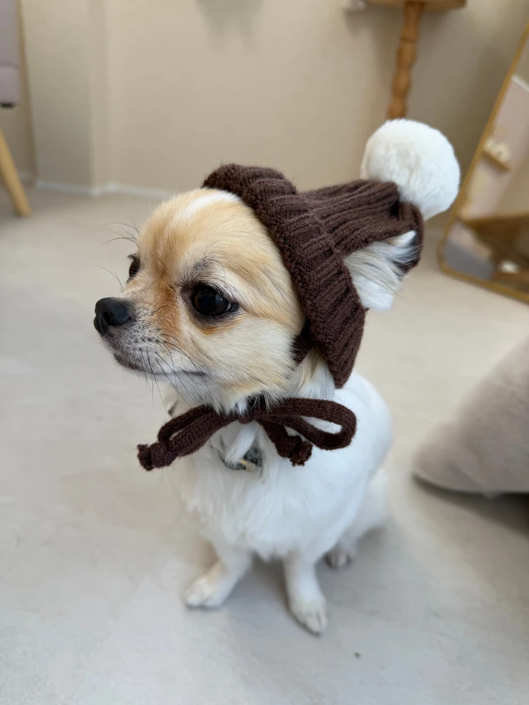 【3COINS】ペット用ニット帽