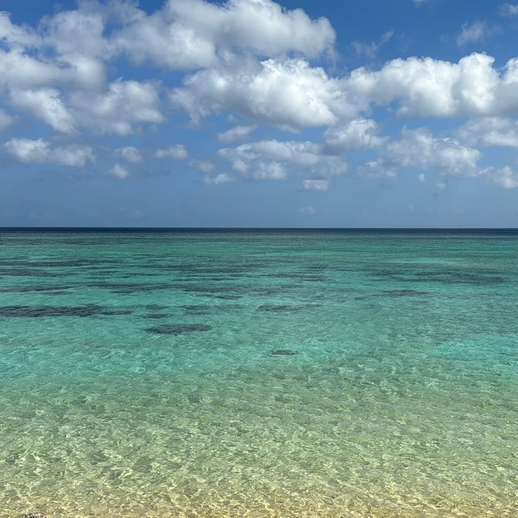 【西表島ひとり旅・観光編】カヌーやシュノーケリングもひとり参加ok！人気アクティビティにトライ_2