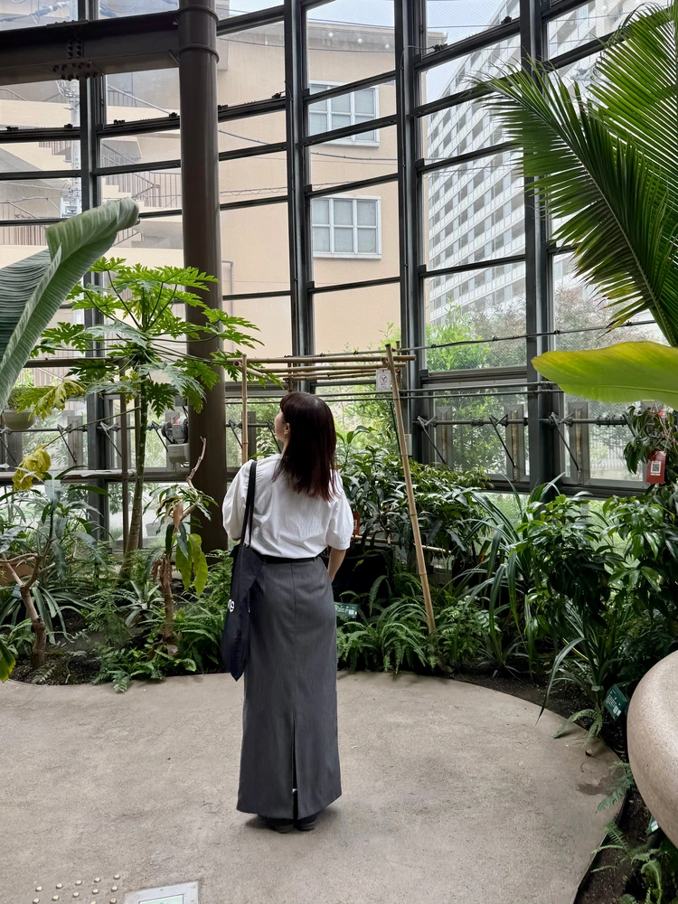 【渋谷駅から徒歩約10分の植物園】渋谷区ふれあい植物センターなら雨の日も楽しめる!_4