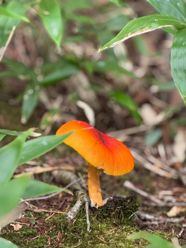 【北海道 道東エリア】網走・知床・弟子屈２泊３日絶景旅②知床半島＆野付半島編_7